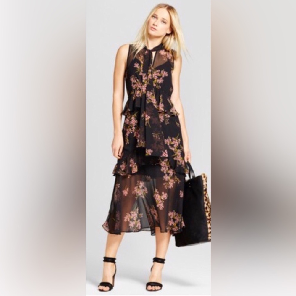 NWT WHO WHAT WEAR Cottage Romantic Floral Sheer Midi Maxi Dress XS